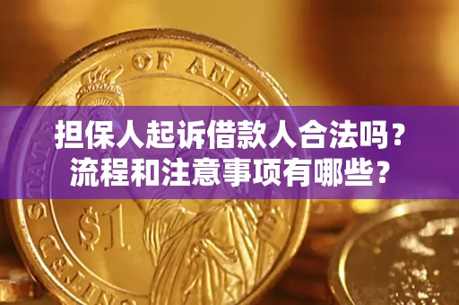 北京担保人起诉借款人合法吗？流程和注意事项有哪些？