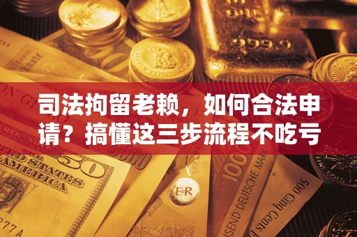 北京司法拘留老赖，如何合法申请？搞懂这三步流程不吃亏！