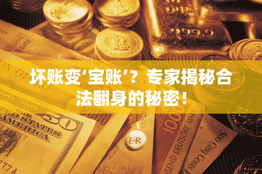 北京坏账变‘宝账’？专家揭秘合法翻身的秘密！