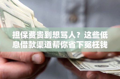 北京担保费贵到想骂人？这些低息借款渠道帮你省下冤枉钱