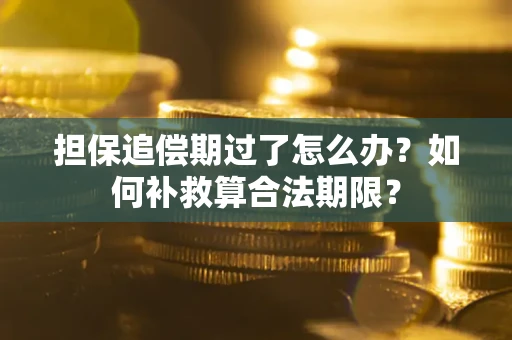 北京担保追偿期过了怎么办？如何补救算合法期限？