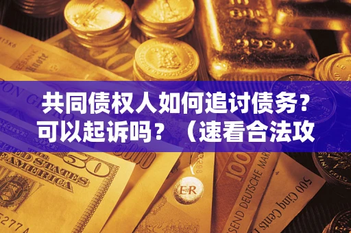 北京共同债权人如何追讨债务？可以起诉吗？（速看合法攻略）